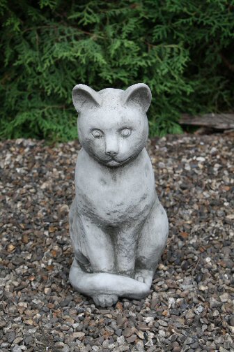 KA10 Medium Cat KA10 Medium Cat